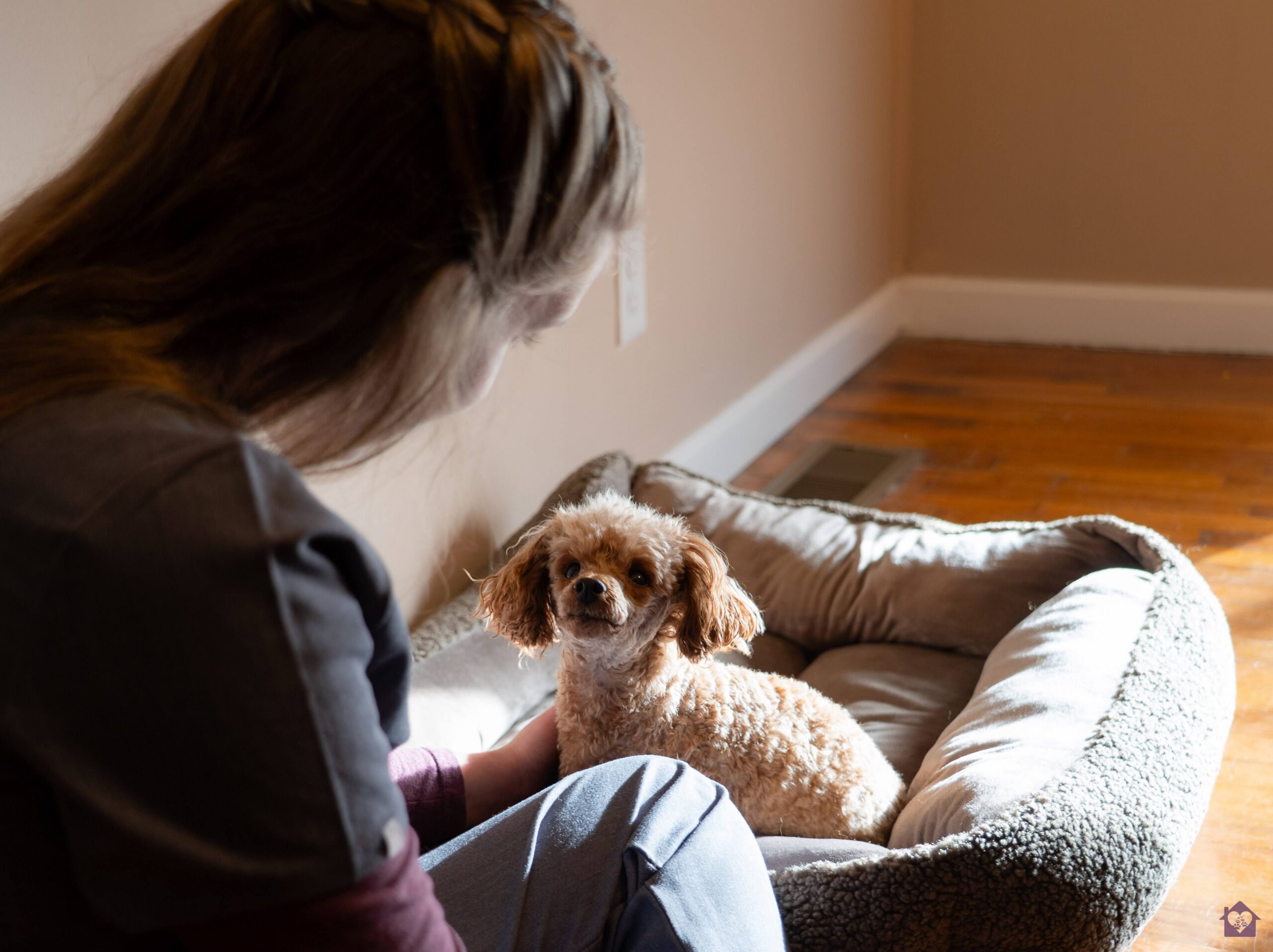 End of Life Pet Care Careers